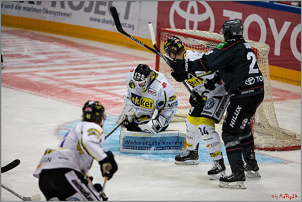 Koelner Haie - Krefeld Pinguine , 23.09.16(KW38)